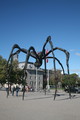 IMG_4837.JPG.small.jpeg