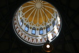 IMG_4857.JPG.small.jpeg