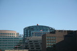 IMG_4875.JPG.small.jpeg
