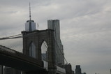 IMG_4943.JPG.small.jpeg