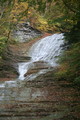 IMG_4990.JPG.small.jpeg