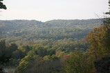 IMG_5022.JPG.small.jpeg