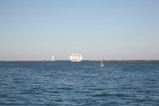 IMG_5131.JPG.small.jpeg