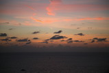 IMG_5167.JPG.small.jpeg