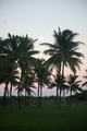IMG_5171.JPG.small.jpeg