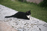 IMG_5181.JPG.small.jpeg