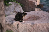 IMG_5192.JPG.small.jpeg
