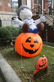IMG_5200.JPG.small.jpeg