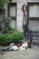 IMG_5206.JPG.small.jpeg
