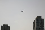 IMG_5227.JPG.small.jpeg