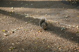 IMG_5229.JPG.small.jpeg