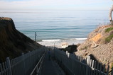 IMG_5278.JPG.small.jpeg