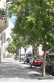 IMG_5281.JPG.small.jpeg