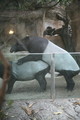 IMG_5285.JPG.small.jpeg
