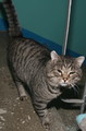 IMG_5346_e.JPG.small.jpeg