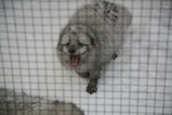 IMG_5438.JPG.small.jpeg