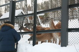 IMG_5448.JPG.small.jpeg