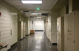 IMG_5472_e.JPG.small.jpeg