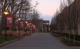 IMG_5481_e.JPG.small.jpeg