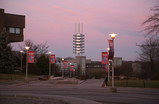 IMG_5483_e.JPG.small.jpeg