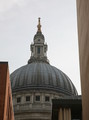 IMG_5494_e.JPG.small.jpeg