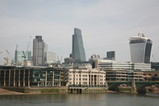 IMG_5499.JPG.small.jpeg