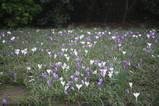 IMG_5534.JPG.small.jpeg