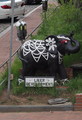 P4260037_e.JPG.small.jpeg