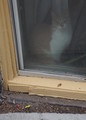 P6150064_e.JPG.small.jpeg