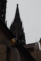 P8310036_e.JPG.small.jpeg