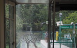 P9010085_e.JPG.small.jpeg