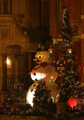 IMG_5595_e.JPG.small.jpeg