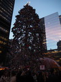 PC230008.JPG.small.jpeg