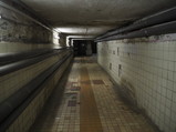 PC260013.JPG.small.jpeg