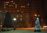 PC260016_e.JPG.small.jpeg