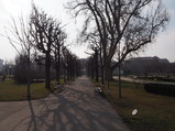 P2150042.JPG.small.jpeg