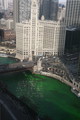 IMG_5602.JPG.small.jpeg