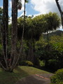 P4010126.JPG.small.jpeg