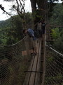 P4010160.JPG.small.jpeg