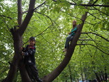 P9060030.JPG.small.jpeg