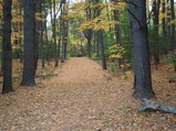 PA240006.JPG.small.jpeg