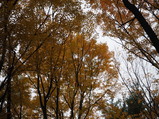 PA240011.JPG.small.jpeg