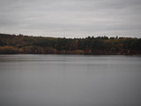 PA240022.JPG.small.jpeg