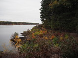 PA240024.JPG.small.jpeg