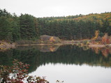 PA240027.JPG.small.jpeg