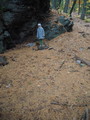 PA240029.JPG.small.jpeg