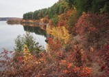 PA240051_e.JPG.small.jpeg