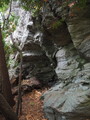 PA240058.JPG.small.jpeg