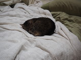 PA250064.JPG.small.jpeg