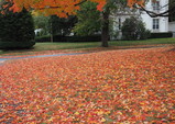 PA250085_e.JPG.small.jpeg